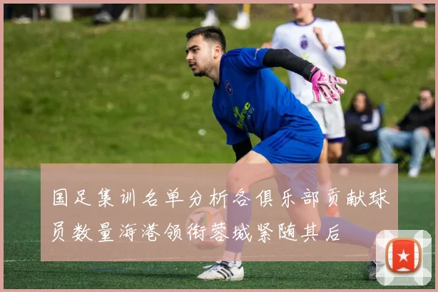 国足集训名单分析各俱乐部贡献球员数量海港领衔蓉城紧随其后