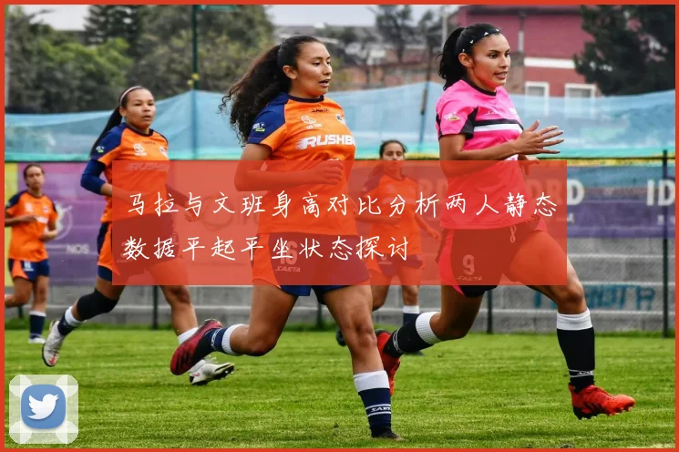马拉与文班身高对比分析两人静态数据平起平坐状态探讨
