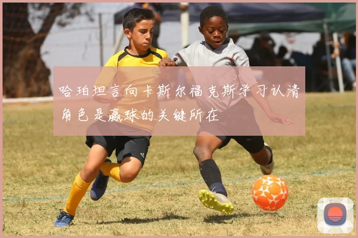 哈珀坦言向卡斯尔福克斯学习认清角色是赢球的关键所在