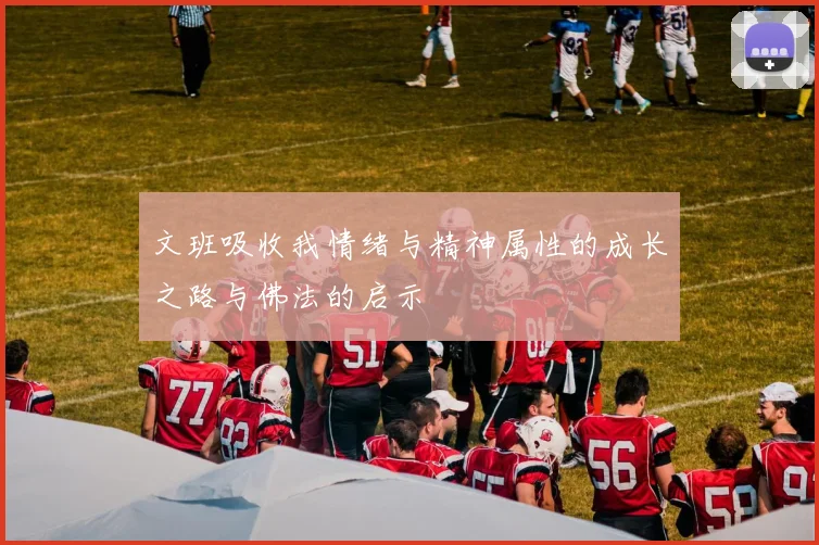 文班吸收我情绪与精神属性的成长之路与佛法的启示